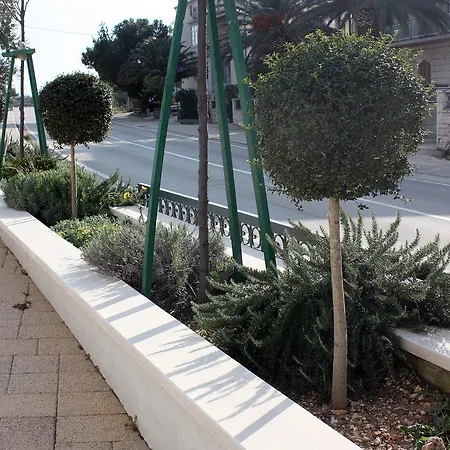 3193g * Tučepi